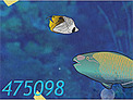 Ocean Explorer